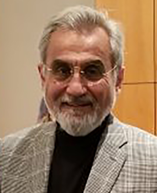 Hadi Bozorgmanesh