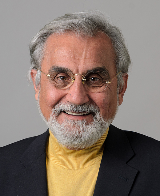 Hadi Bozorgmanesh